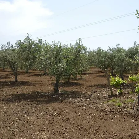 In Sicily 度假居